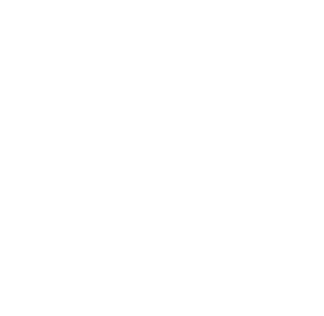 biometric icon